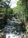 mountain stream San Carlos, Costa Rica